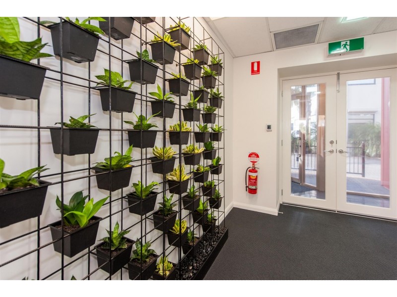 Suite 3 / 28B Anderson Walk, Smithfield SA 5114