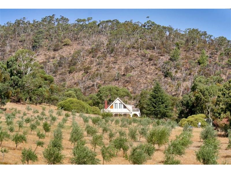 Lot 20 Waitara Road, Banksia Park SA 5091