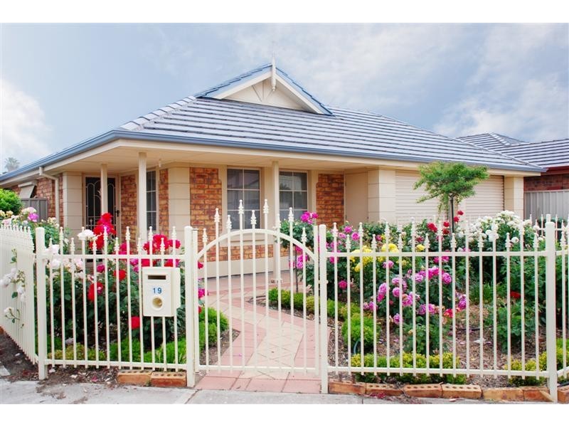19 Albert Avenue, Camden Park SA 5038