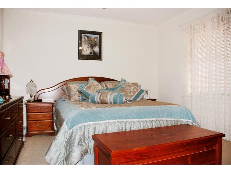 19 Albert Avenue, Camden Park SA 5038