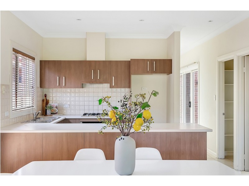 11 LIVINGSTONE AVENUE, Prospect SA 5082