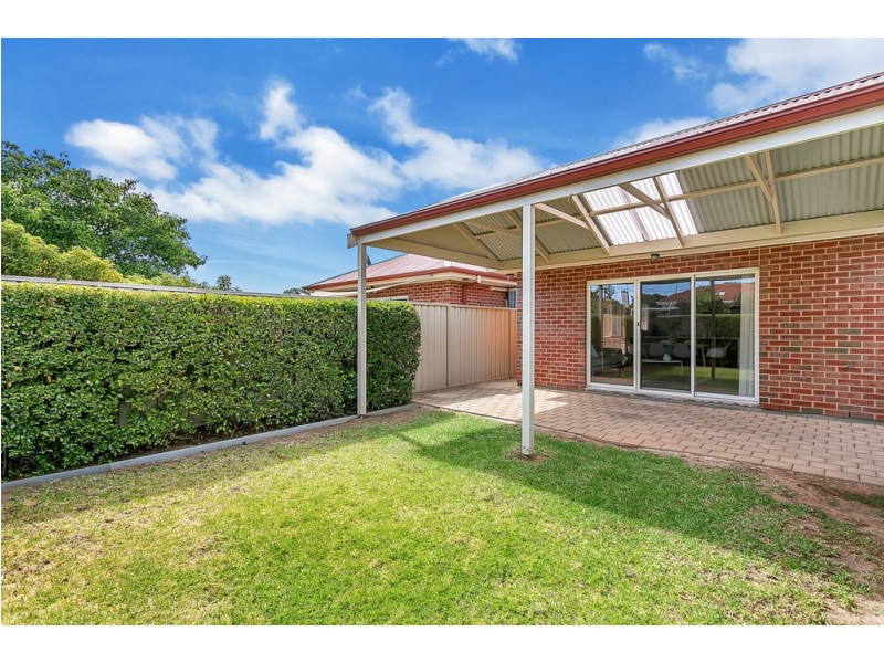 11 LIVINGSTONE AVENUE, Prospect SA 5082