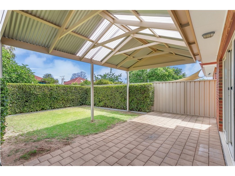 11 LIVINGSTONE AVENUE, Prospect SA 5082
