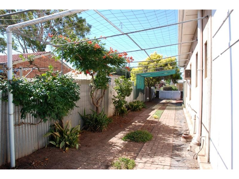 19 Tarragon Street, Mile End SA 5031