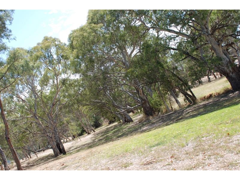 Lot 1 and 2 Jubilee Way, Wynn Vale SA 5127