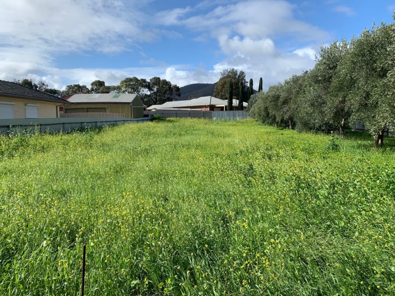 27 Gilbert Street, Newton SA 5074