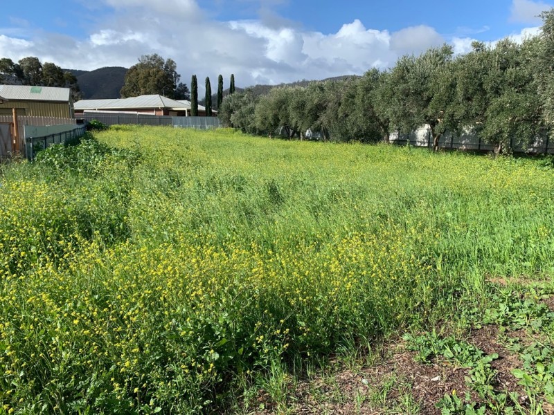 27 Gilbert Street, Newton SA 5074