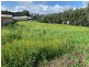 27 Gilbert Street, Newton SA 5074