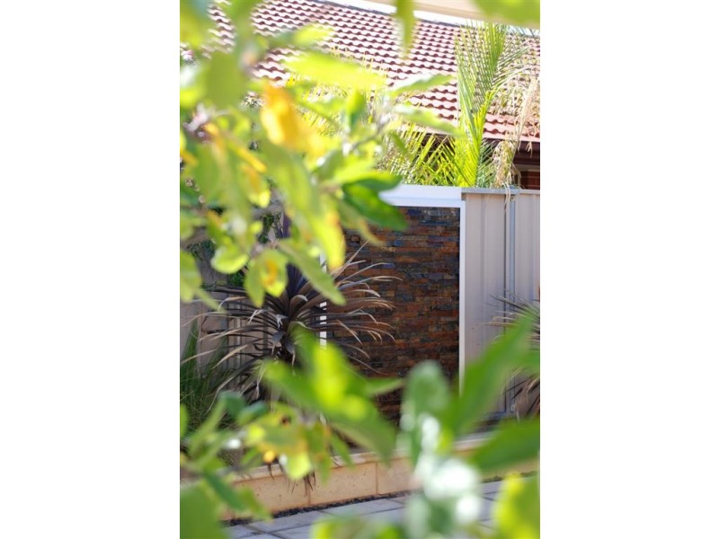 4 Wintershall Street, Oakden SA 5086