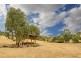 Lot 105 Corner Lacebark and Bristlecone Street, Flagstaff Hill SA 5159