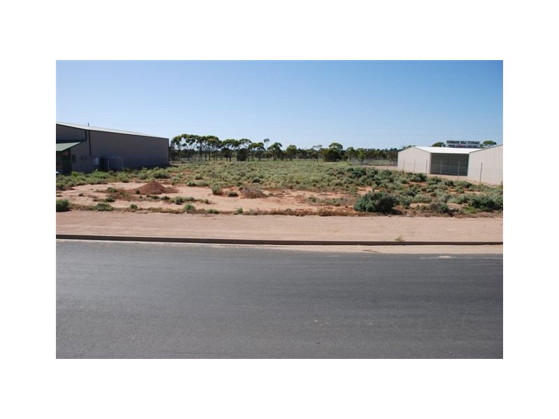 7 Kuhlmann Road, Renmark SA 5341