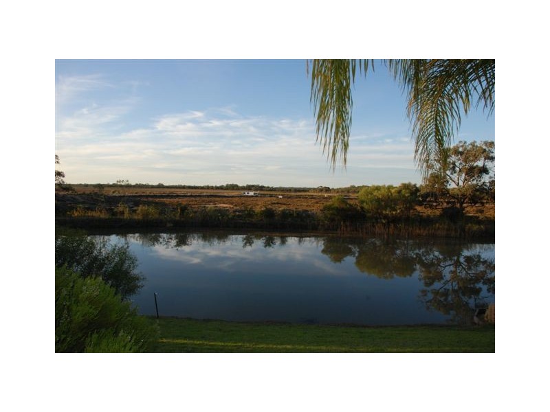 5 Palm Court, Renmark SA 5341