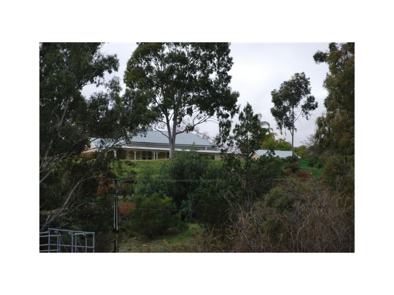 1 Lookout Drive, Paringa SA 5340