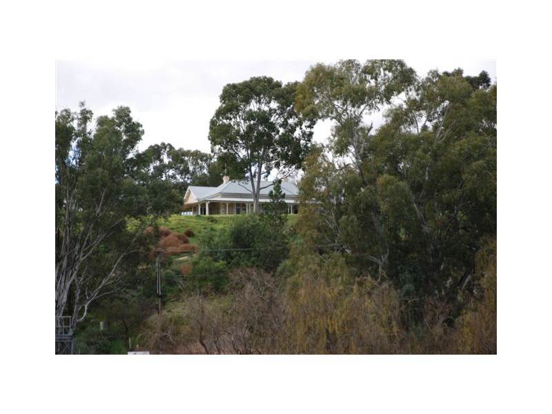 1 Lookout Drive, Paringa SA 5340