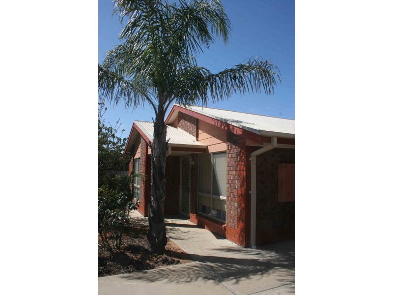 45a Korinthos Street, Renmark SA 5341