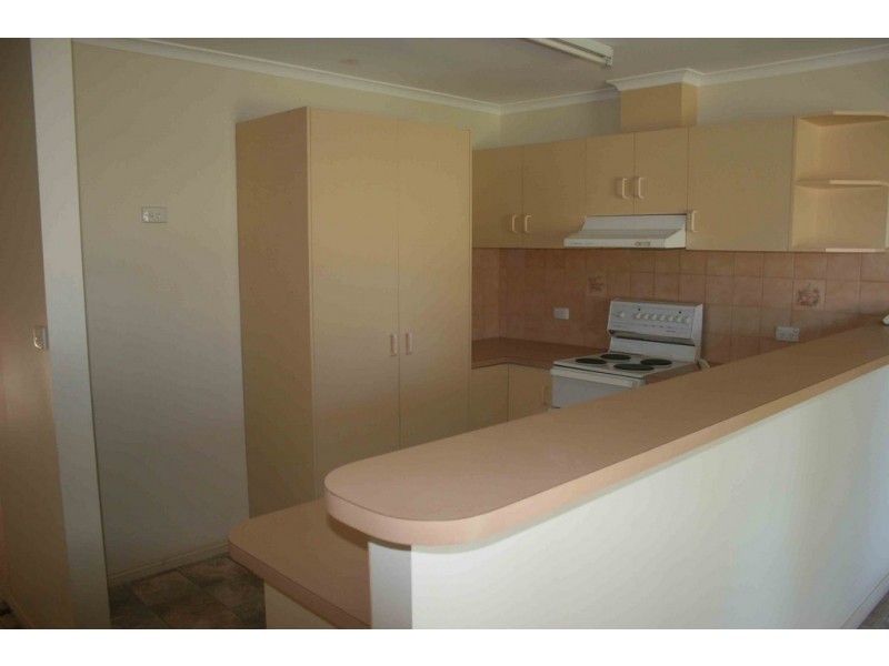 45a Korinthos Street, Renmark SA 5341