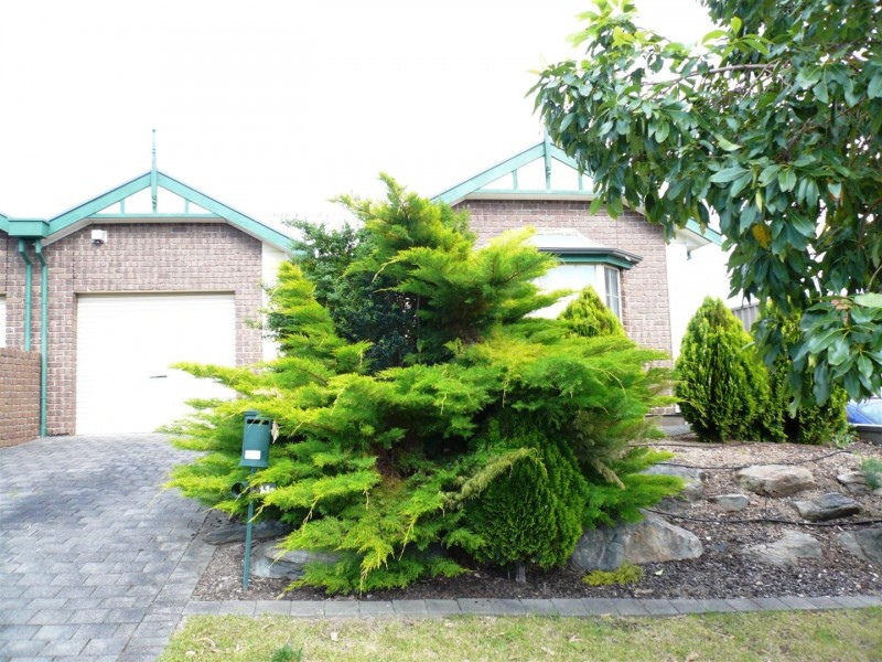 14A Ridgefield Avenue, Paradise SA 5075