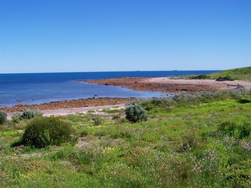 1 Tern Court, Adelaide SA 5000