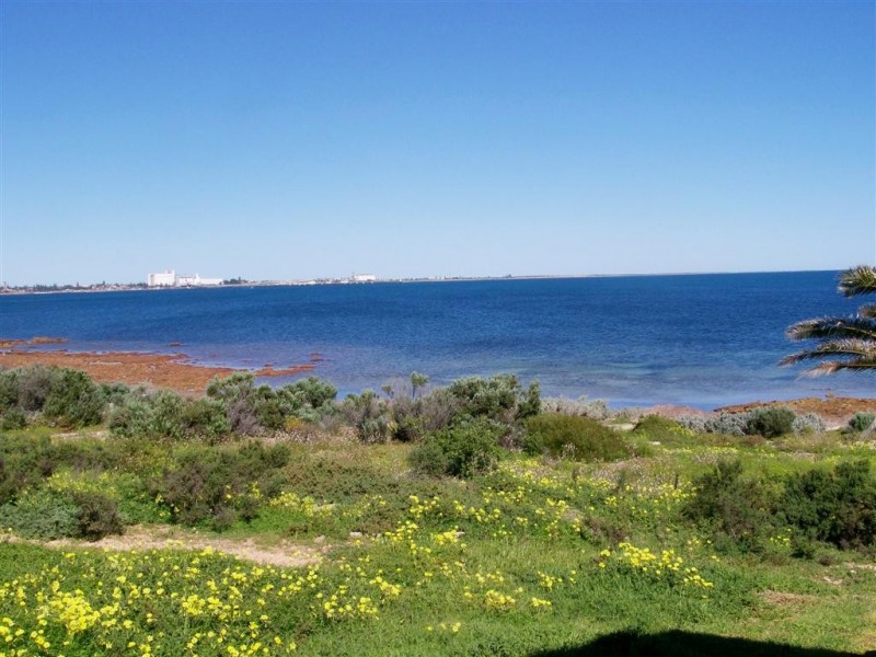 1 Tern Court, Adelaide SA 5000