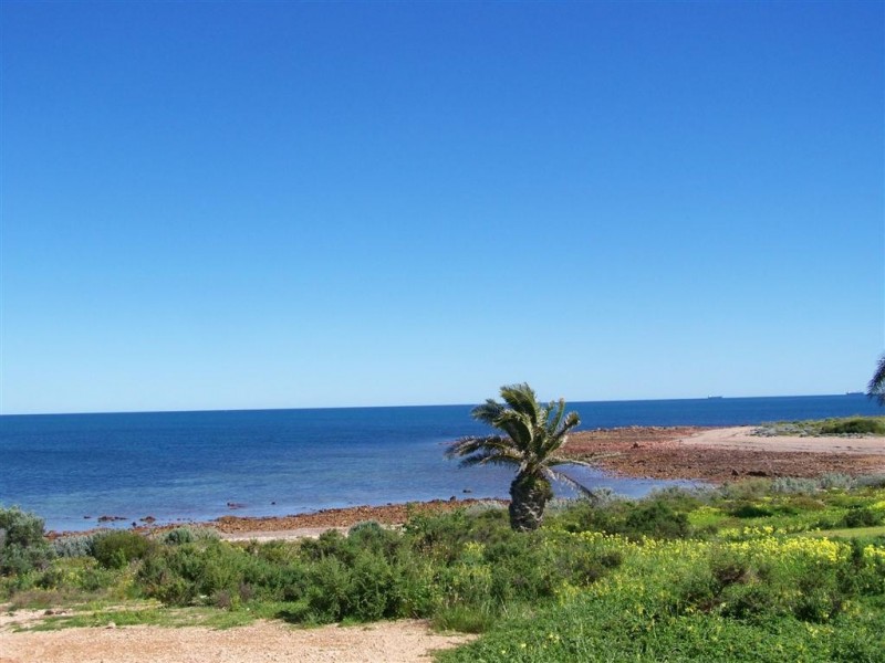 1 Tern Court, Adelaide SA 5000