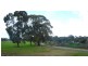 53 James Leal Drive, Underdale SA 5032