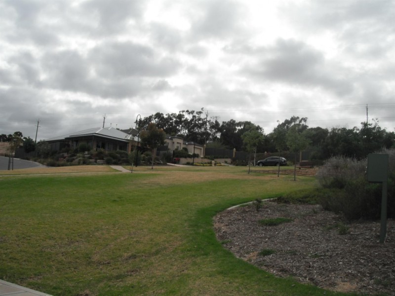 36 Coulter Street, Flagstaff Hill SA 5159