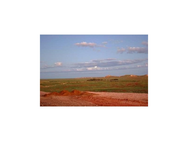 Lot 1019 Tom Cat Hill Road, Coober Pedy SA 5723