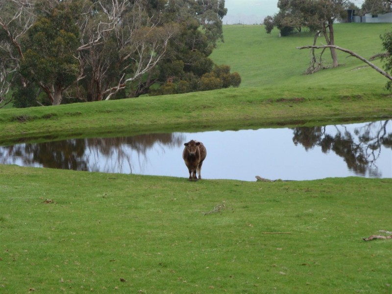 282 Bald Hills Road, Inman Valley SA 5211