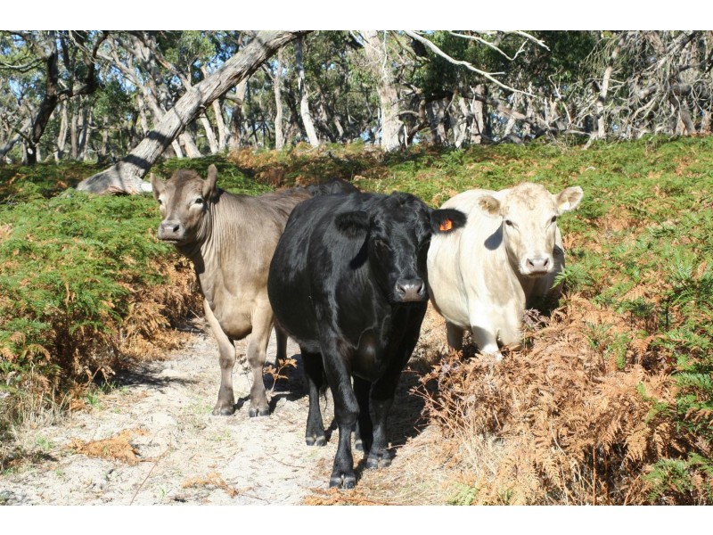 282 Bald Hills Road, Inman Valley SA 5211