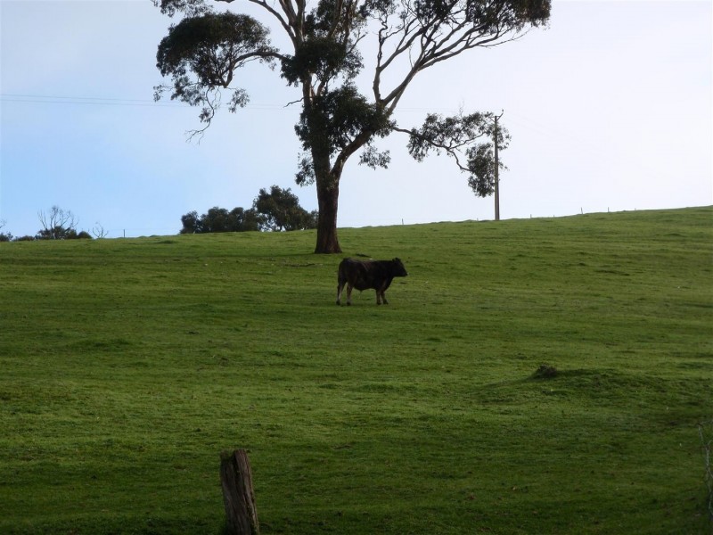 282 Bald Hills Road, Inman Valley SA 5211