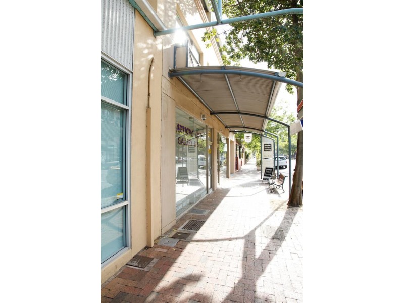 48 Melbourne Street, North Adelaide SA 5006