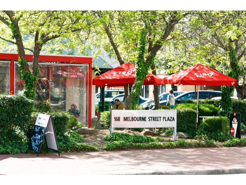 48 Melbourne Street, North Adelaide SA 5006