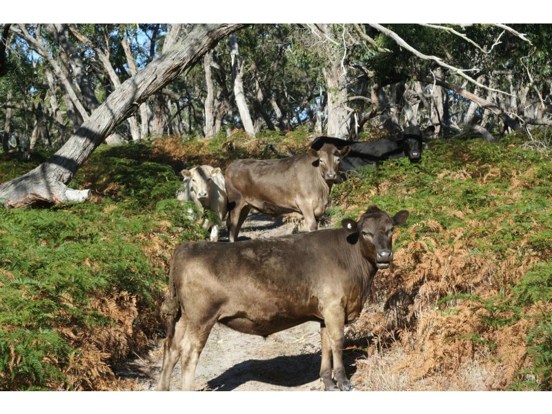 282 Bald Hills Road, Inman Valley SA 5211