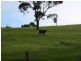 282 Bald Hills Road, Inman Valley SA 5211