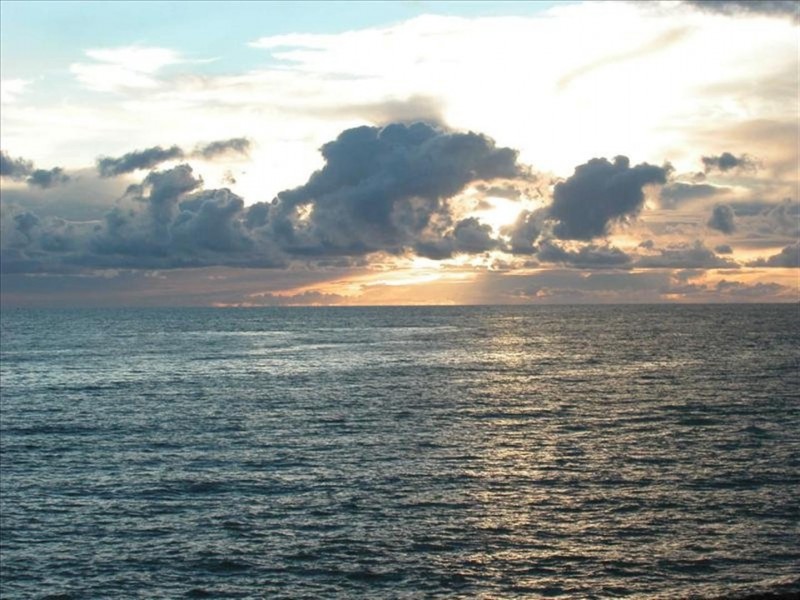 2/36A Pier Street, Glenelg South SA 5045