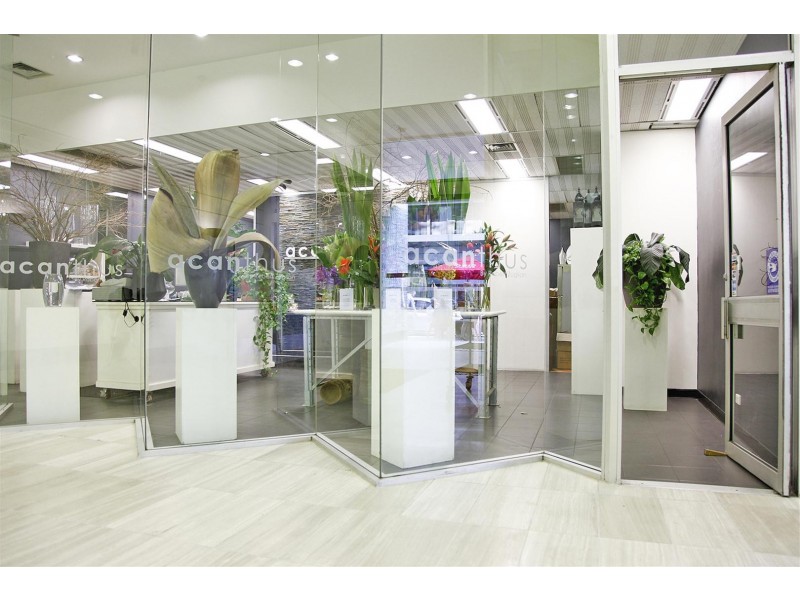 Ground 1B/97 Pirie Street, Adelaide SA 5000