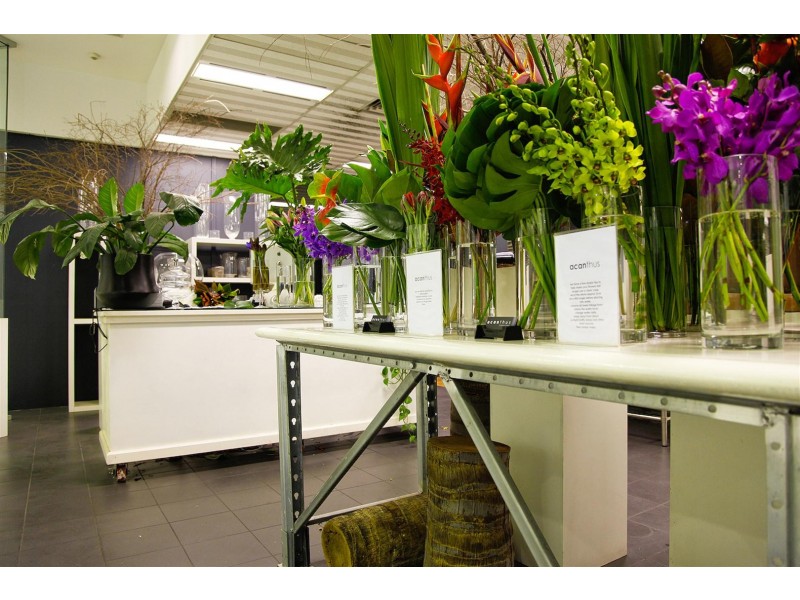 Ground 1B/97 Pirie Street, Adelaide SA 5000