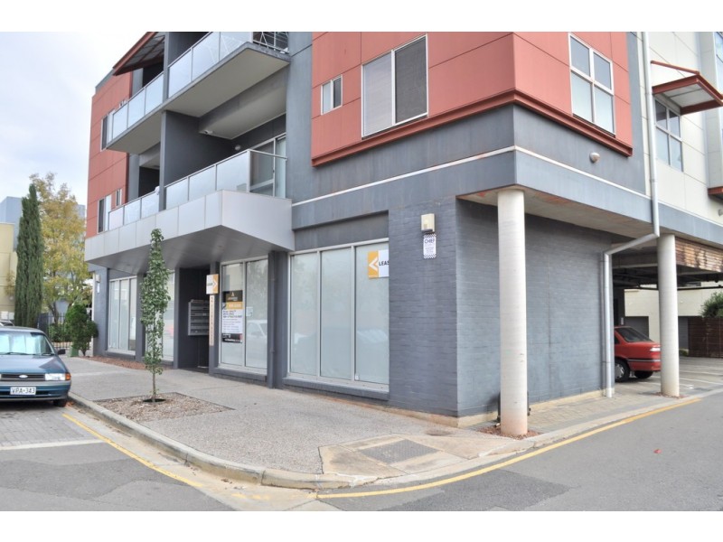 2/2 Fisher Place, Mawson Lakes SA 5095