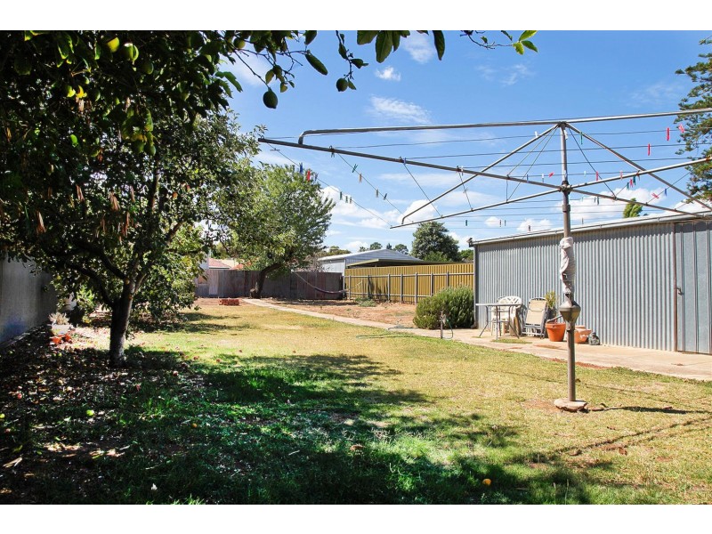 23 William Street, Prospect SA 5082