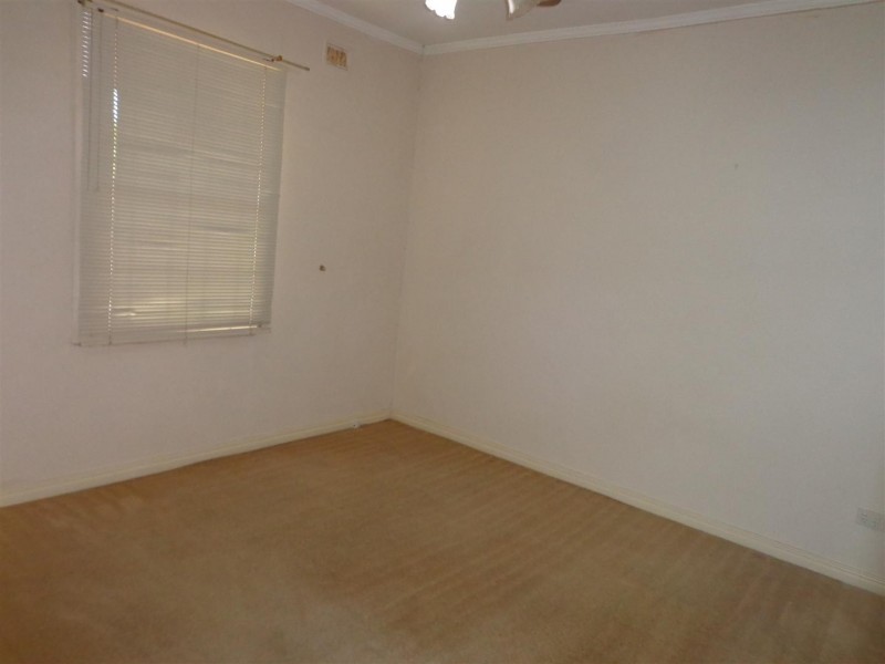 20 Halifax Street, Hilton SA 5033