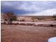 Lot 1789 Potch Gully Road, Coober Pedy SA 5723