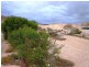 Lot 1789 Potch Gully Road, Coober Pedy SA 5723
