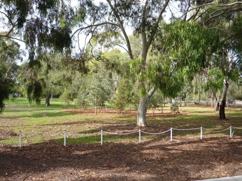 Mitchell Park SA 5043