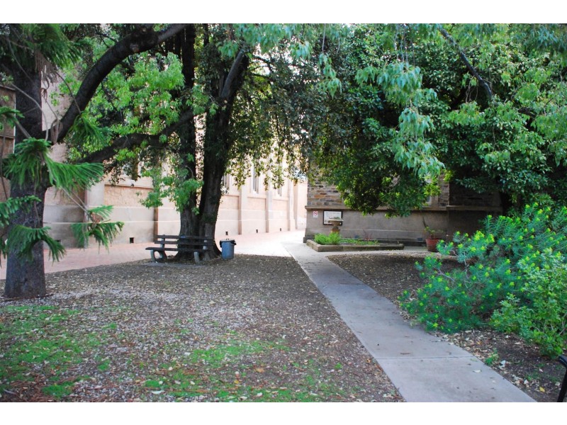 146 Tynte Street, North Adelaide SA 5006