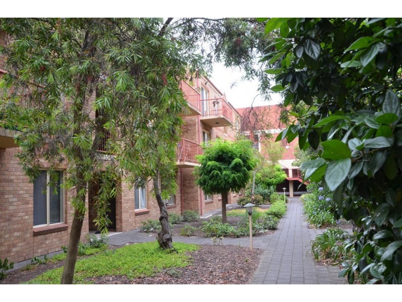 6/29 St Helena Place, Adelaide SA 5000