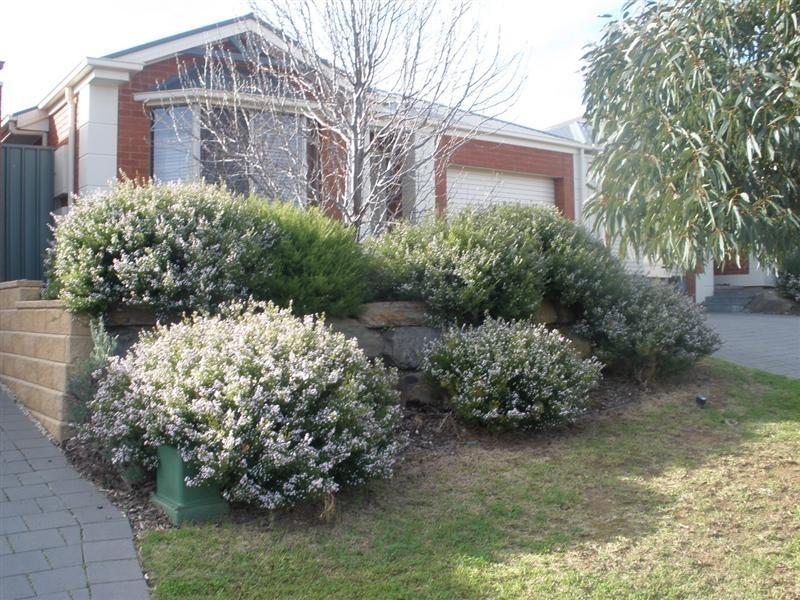 13 PINEVIEW, Walkley Heights SA 5098