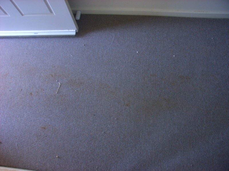 22 Isabel Road, Munno Para West SA 5115