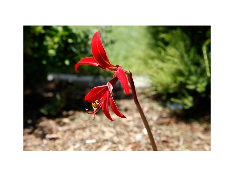 40 HARVEY AVE, Salisbury SA 5108