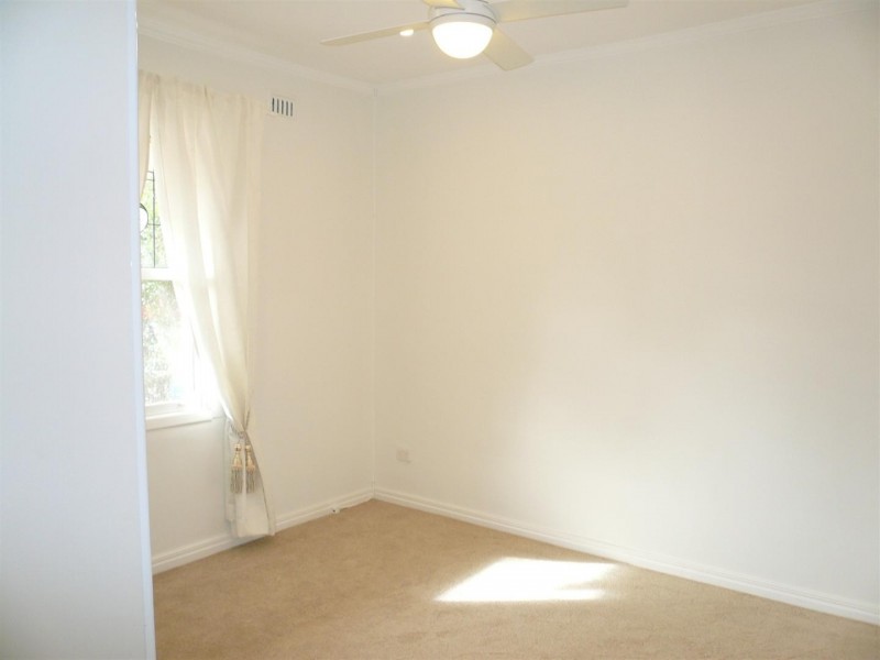 20 Halifax Street, Hilton SA 5033