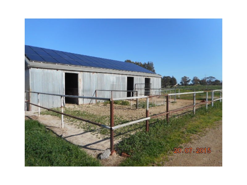 25 Trotters Drive, Globe Derby Park SA 5110